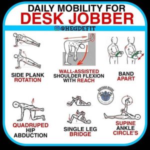 Esercizi di mobilità, stretching e rinforzo Esercizi di mobilità, stretching e rinforzo