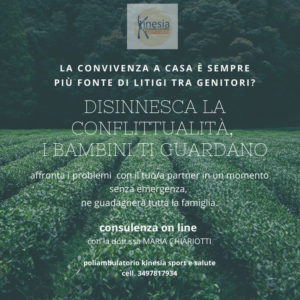 SERVIZIO DI CONSULENZA ONLINE KINESIA SERVIZIO DI CONSULENZA ONLINE KINESIA